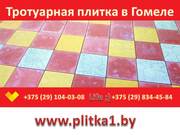 Тротуарная плитка Черепашка в Гомеле купить заказать укладка - foto 5