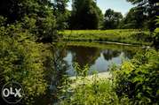 Агроусадьба Бобров Ручей для вашего отдыха в 20 км от Гомеля - foto 0